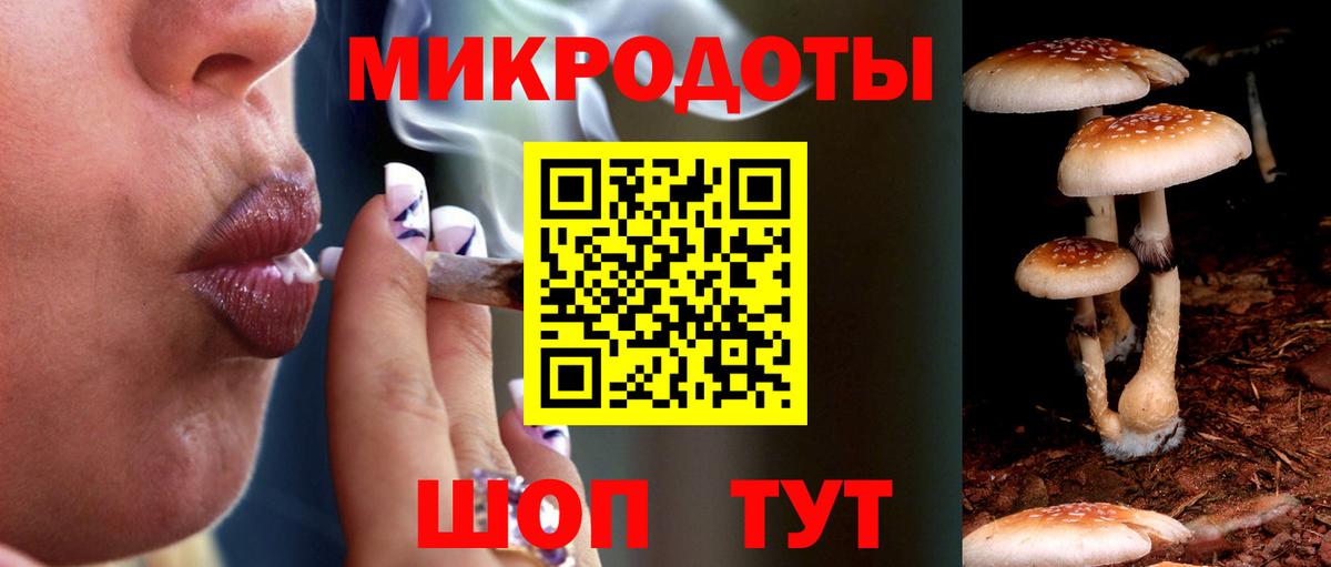 Псилоцибиновые грибы MAGIC MUSHROOMS  Вход с VPN  Горно-Алтайск 